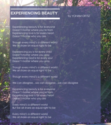 EXPERIENCING BEAUTY by YOHAM ORTIZ